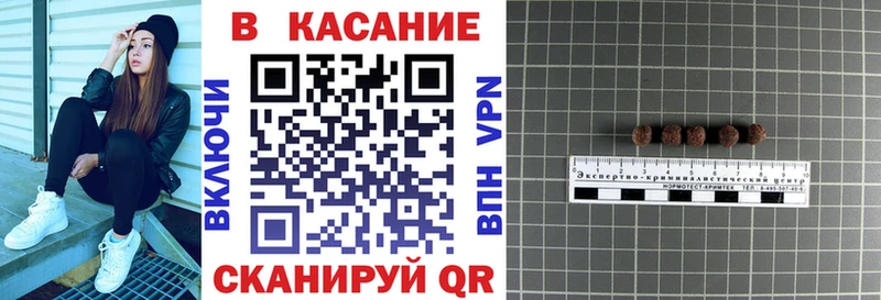 Наркошоп купить КЕТАМИН  Галлюциногенные грибы  Мефедрон  БУТИРАТ  Бошки Шишки  ГАШИШ  Саяногорск