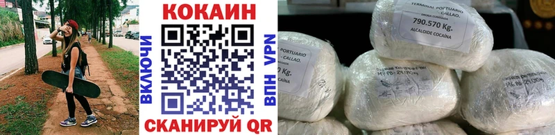 КОКАИН Fish Scale  Купить где  Саяногорск 