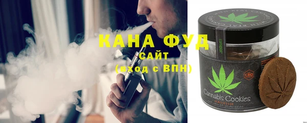гидра Верхний Тагил