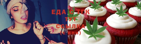 гидра Верхний Тагил