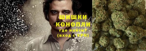 гидра Верхний Тагил