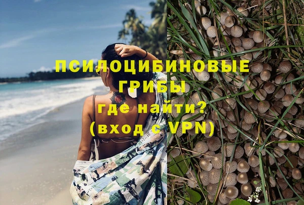 гидра Верхний Тагил
