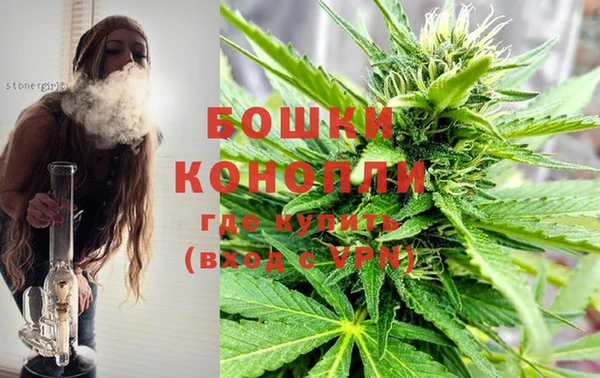 дмт Верея