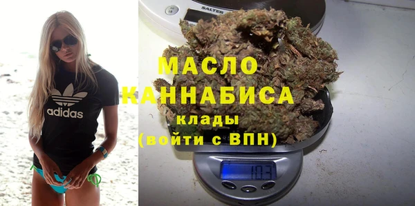 гидра Верхний Тагил