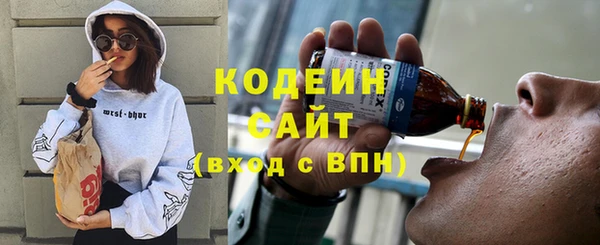 гидра Верхний Тагил
