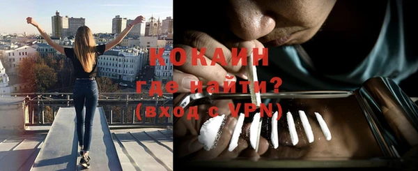 гидра Верхний Тагил