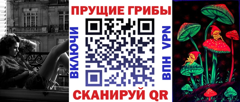 Купить где  Саяногорск  Галлюциногенные грибы Cubensis 